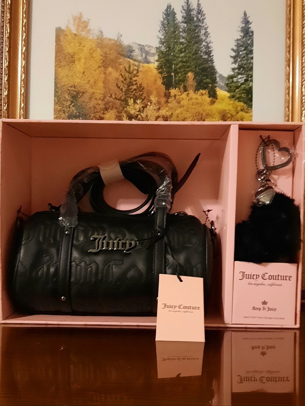 NWT JUICY COUTURE SET